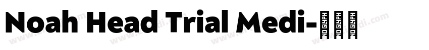 Noah Head Trial Medi字体转换